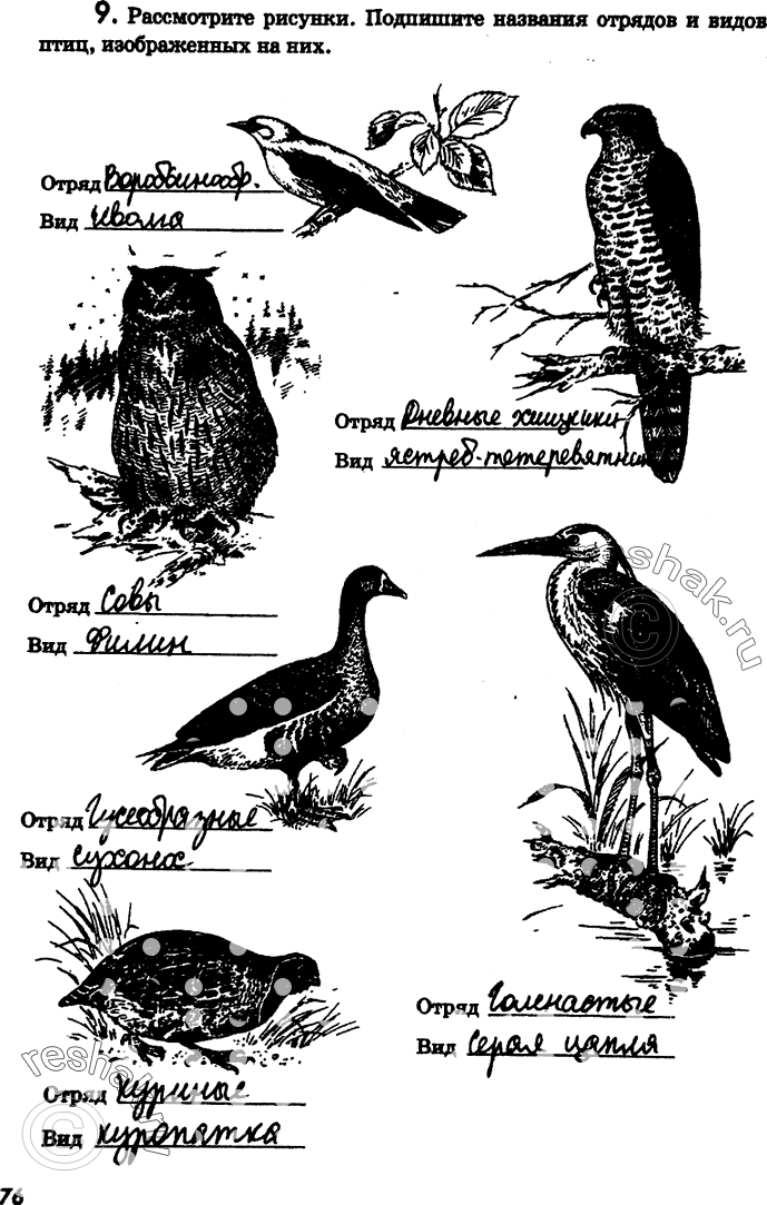 Изображение 9.	Рассмотрите рисунки. Подпишите названия отрядов и видов птиц, изображенных на...