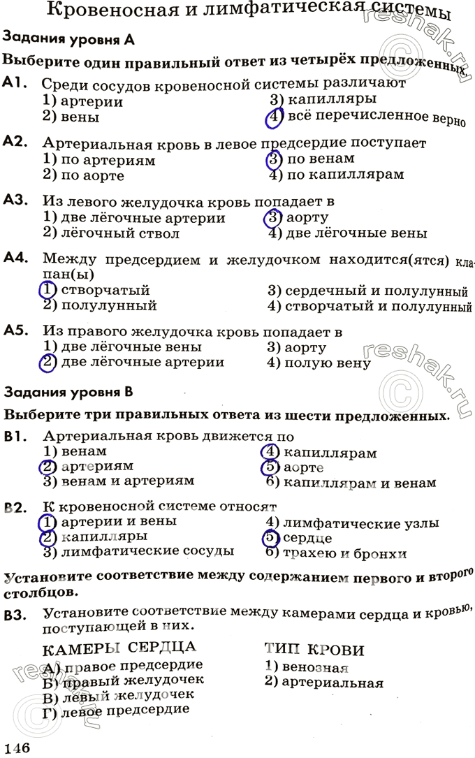 Изображение Кровеносная и лимфатическая системыЗадания уровня АВыберите один правильный ответ из четырёх предложенных.А1. Среди сосудов кровеносной системы различают1)...