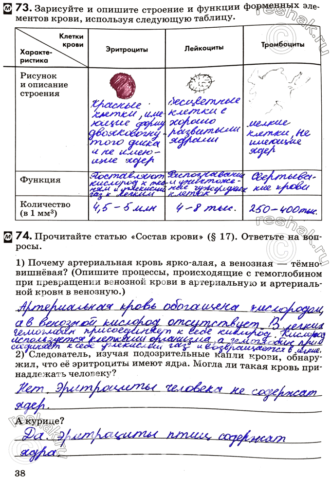 Изображение 73. Зарисуйте и опишите строение и функции форменных элементов крови, используя следующую таблицу.Клетки крови	Эритроциты	Лейкоциты	ТромбоцитыХарактеристикаРисунок...